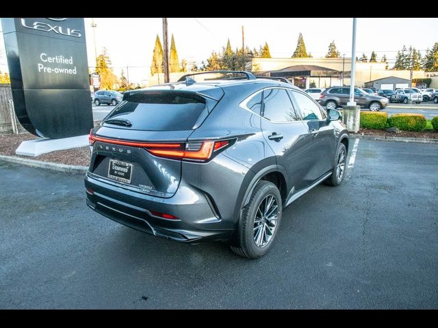 2024 Lexus NX 350