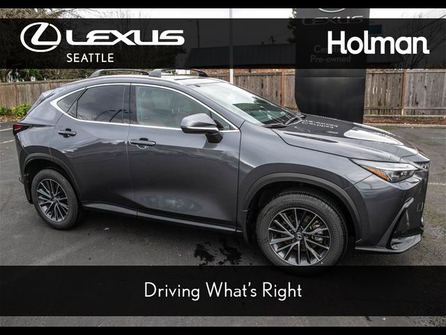 2024 Lexus NX 350