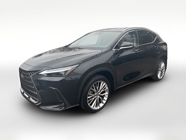 2024 Lexus NX 350