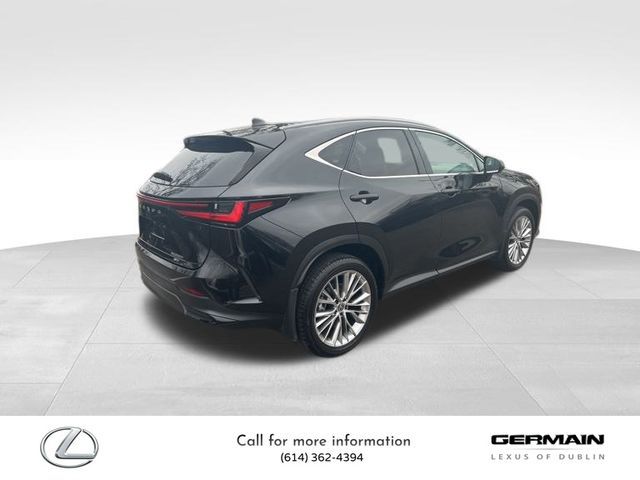 2024 Lexus NX 350