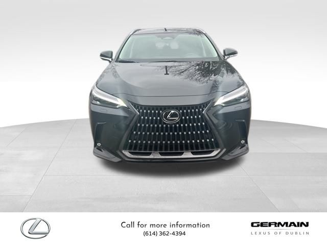 2024 Lexus NX 350