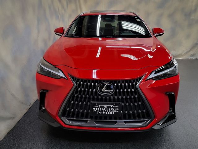 2024 Lexus NX 350