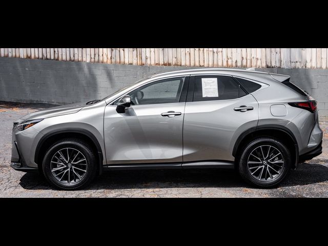 2024 Lexus NX 350