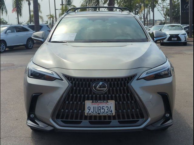 2024 Lexus NX 350