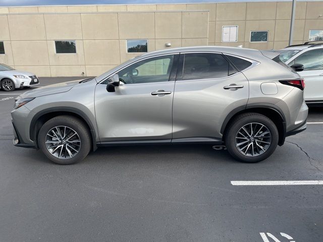 2024 Lexus NX 350