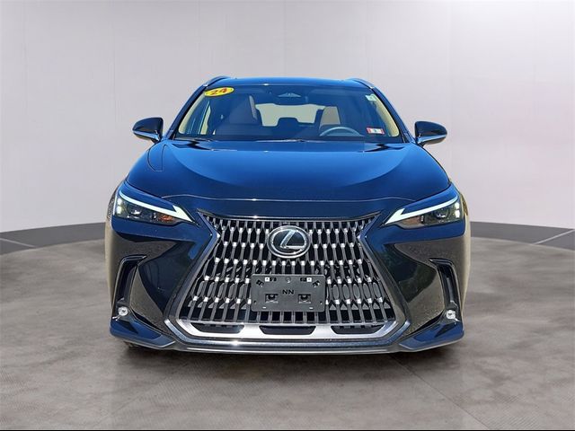 2024 Lexus NX 350