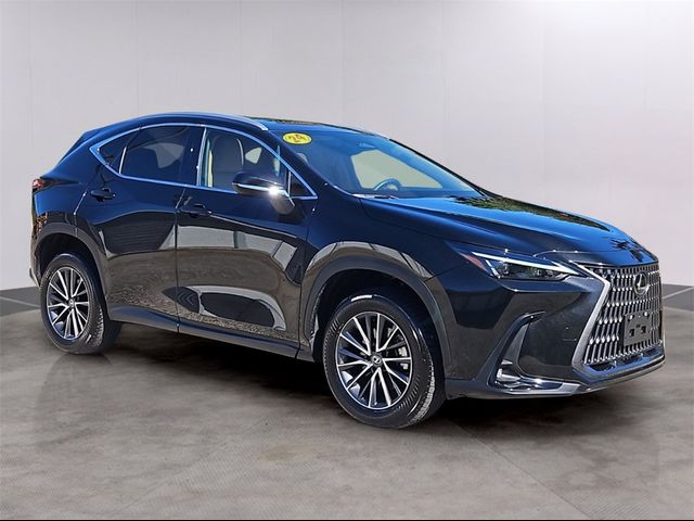 2024 Lexus NX 350