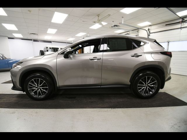 2024 Lexus NX 350