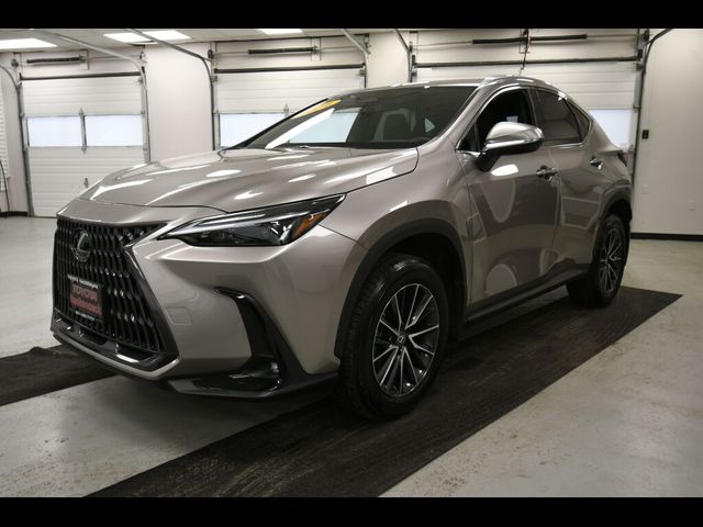 2024 Lexus NX 350