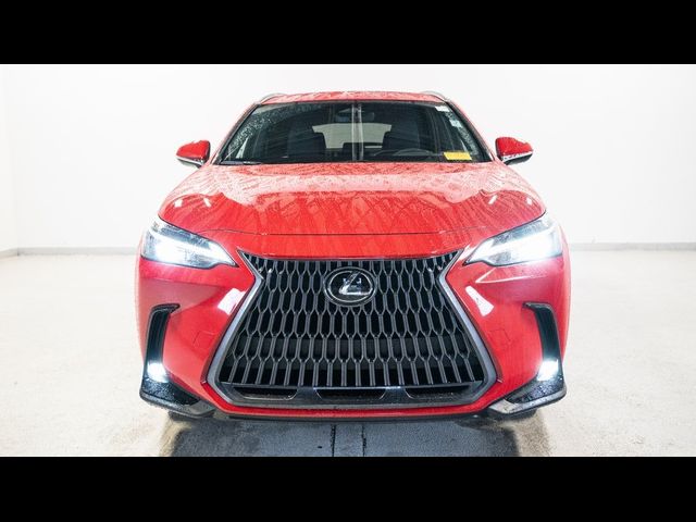 2024 Lexus NX 350