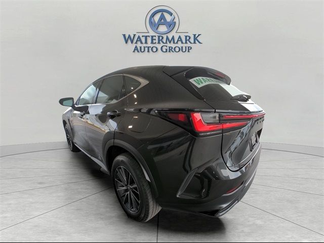 2024 Lexus NX 350