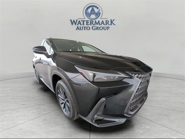 2024 Lexus NX 350