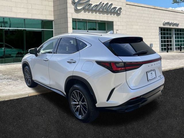 2024 Lexus NX 350