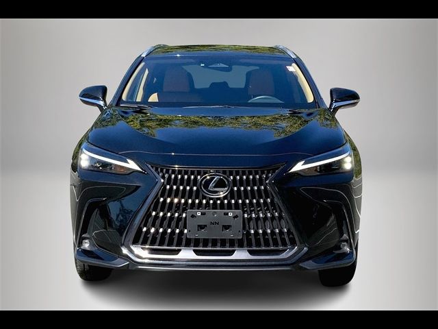 2024 Lexus NX 350