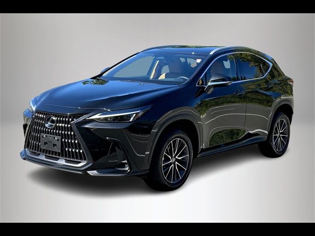 2024 Lexus NX 350