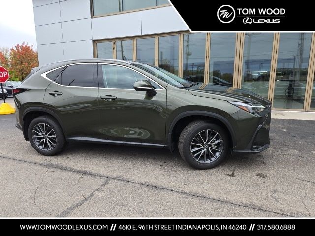 2024 Lexus NX 350