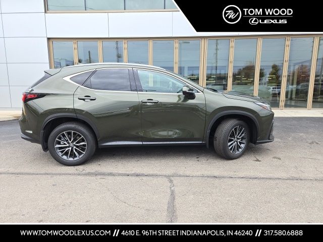 2024 Lexus NX 350