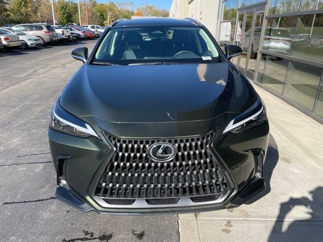 2024 Lexus NX 350