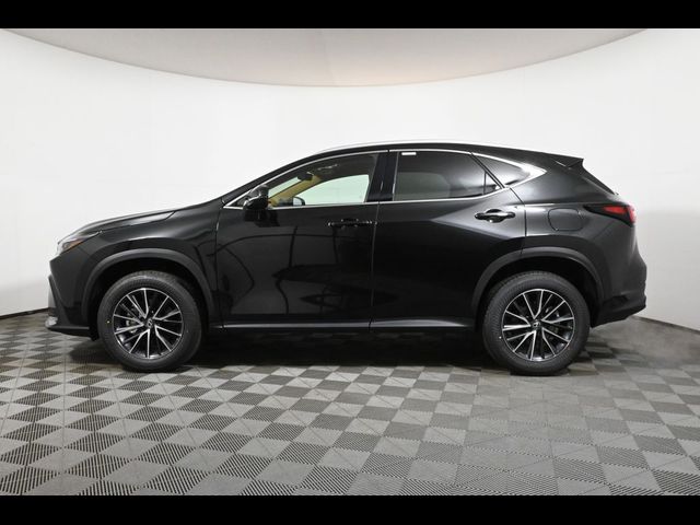 2024 Lexus NX 350