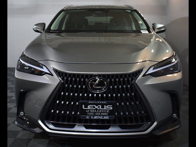 2024 Lexus NX 350