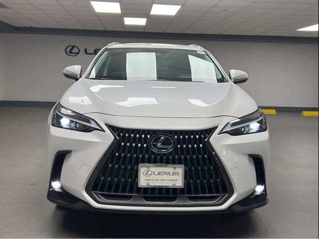 2024 Lexus NX 350