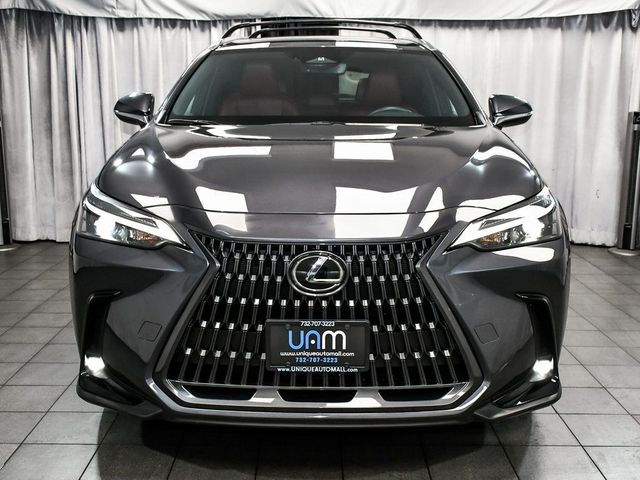 2024 Lexus NX 350