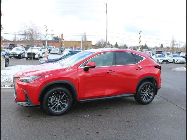 2024 Lexus NX 350