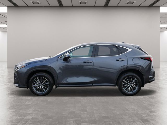 2024 Lexus NX 350