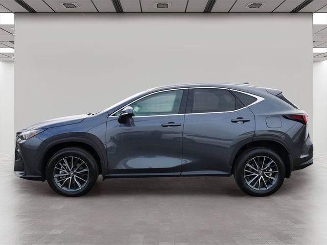 2024 Lexus NX 350