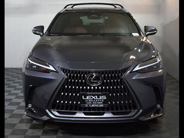 2024 Lexus NX 350