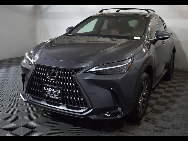 2024 Lexus NX 350