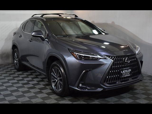 2024 Lexus NX 350