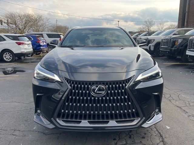 2024 Lexus NX 350