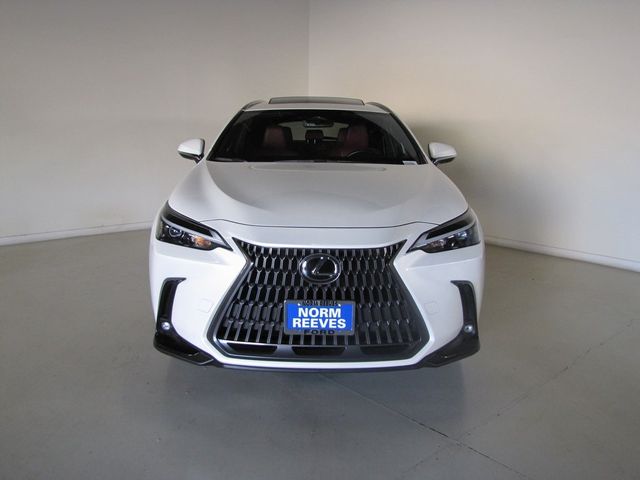 2024 Lexus NX 350