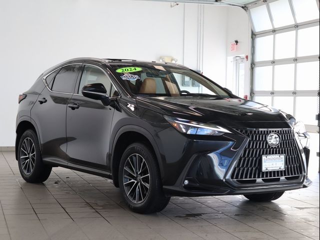 2024 Lexus NX 350