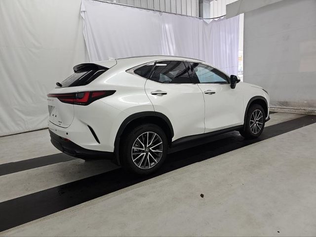 2024 Lexus NX 350