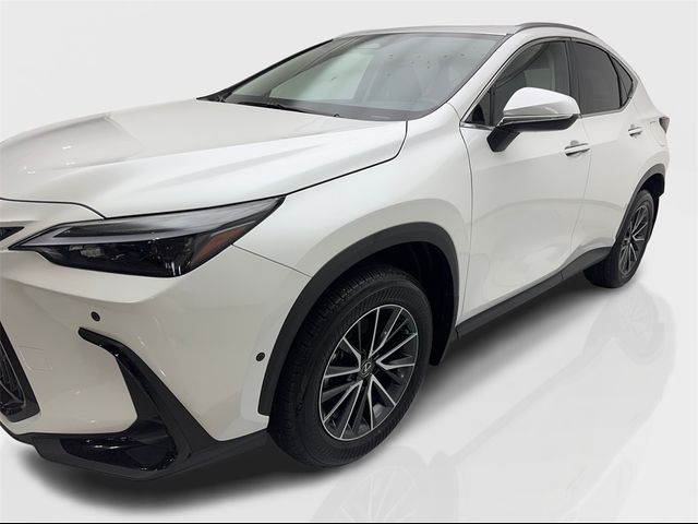 2024 Lexus NX 350