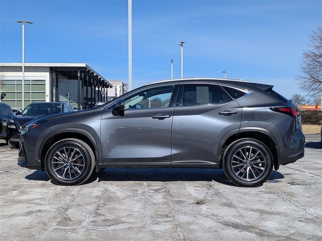 2024 Lexus NX 350