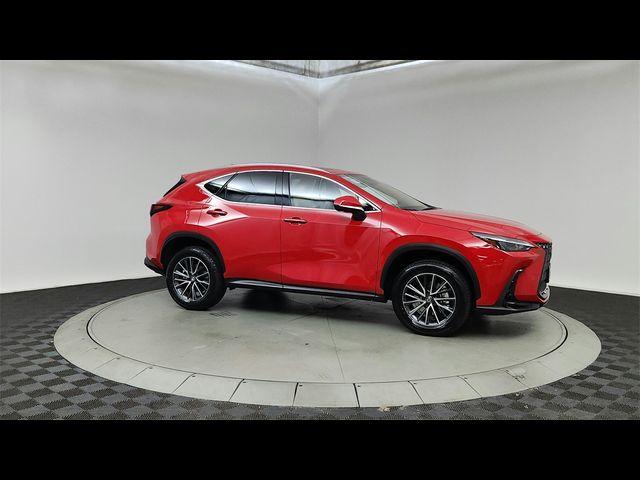 2024 Lexus NX 350