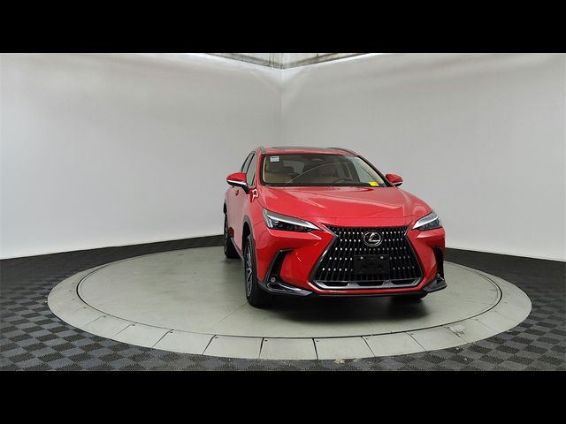 2024 Lexus NX 350