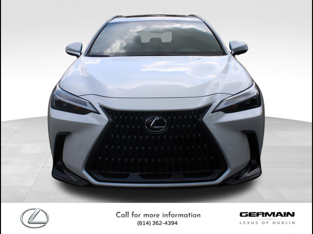 2024 Lexus NX 350