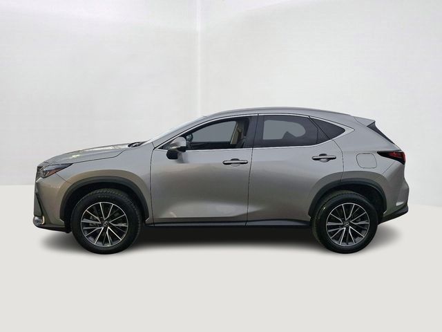 2024 Lexus NX 350