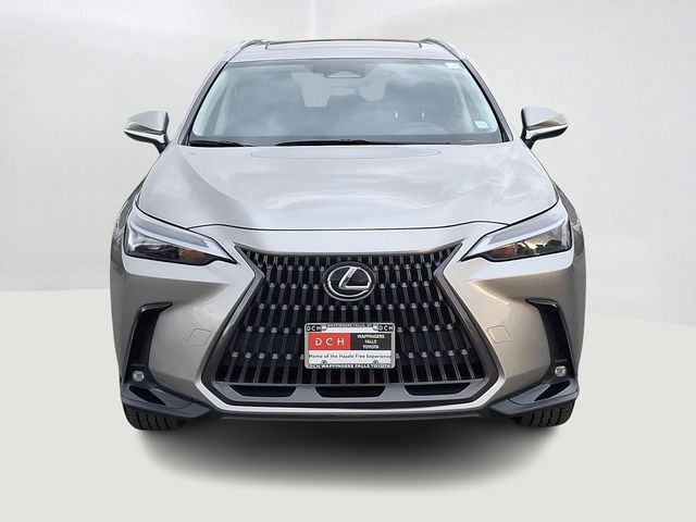 2024 Lexus NX 350