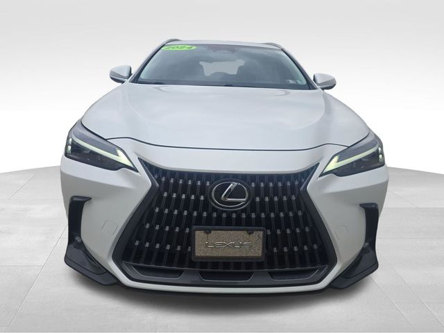 2024 Lexus NX 350
