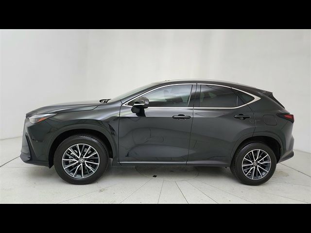 2024 Lexus NX 350