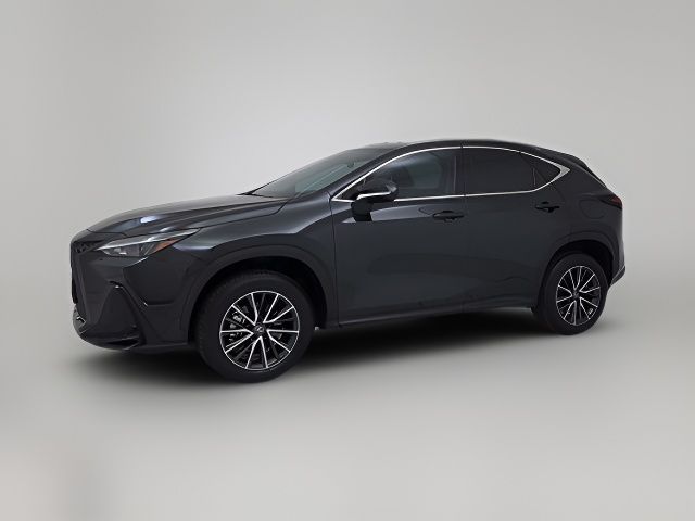 2024 Lexus NX 350