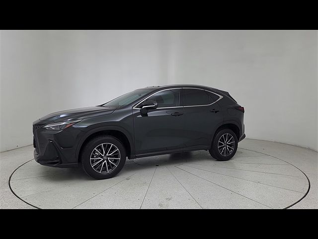 2024 Lexus NX 350