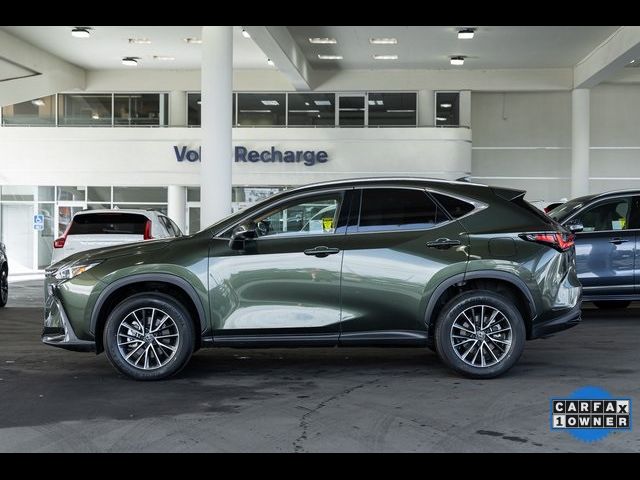 2024 Lexus NX 350