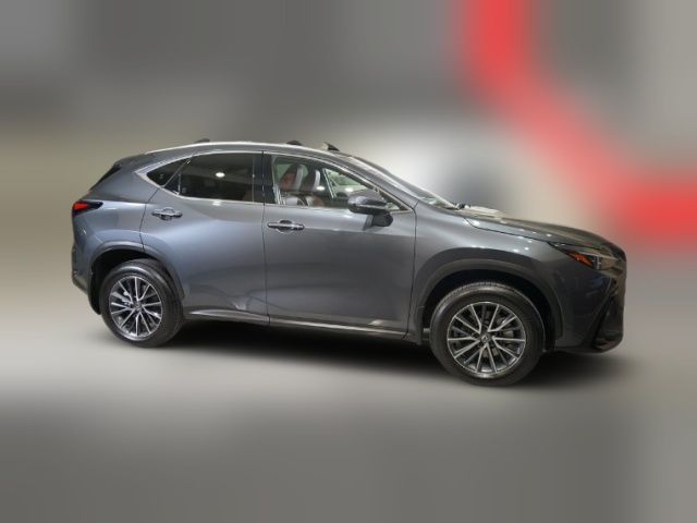 2024 Lexus NX 350