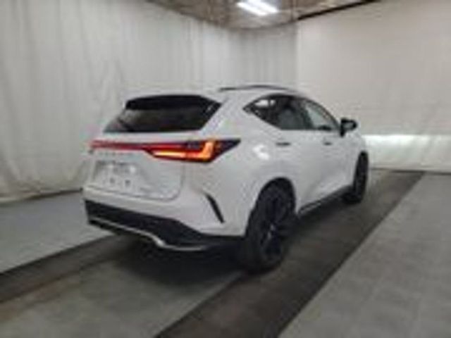 2024 Lexus NX 350 F Sport Handling